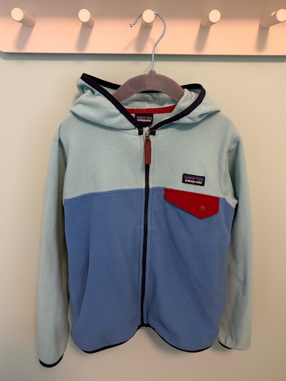 Patagonia Micro D Snap-T Fleece Jacket